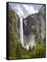 Bridalveil Falls. Yosemite National Park, CA-Jamie & Judy Wild-Framed Stretched Canvas