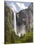 Bridalveil Falls. Yosemite National Park, CA-Jamie & Judy Wild-Stretched Canvas