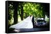 Bride and Groom in Car-HalfPoint-Framed Stretched Canvas