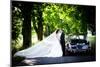 Bride and Groom in Car-HalfPoint-Mounted Photographic Print
