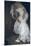 Bride in White Dress-Clive Nolan-Mounted Photographic Print