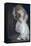 Bride in White Dress-Clive Nolan-Framed Stretched Canvas