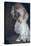 Bride in White Dress-Clive Nolan-Stretched Canvas