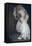 Bride in White Dress-Clive Nolan-Framed Stretched Canvas