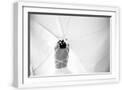 White Frame