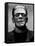 Bride of Frankenstein, Boris Karloff, 1935-null-Framed Stretched Canvas