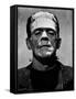 Bride of Frankenstein, Boris Karloff, 1935-null-Framed Stretched Canvas