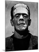 Bride of Frankenstein, Boris Karloff, 1935-null-Mounted Photo