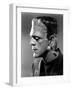 Bride of Frankenstein, Boris Karloff, 1935-null-Framed Photo