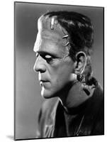 Bride of Frankenstein, Boris Karloff, 1935-null-Mounted Photo