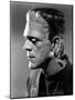 Bride of Frankenstein, Boris Karloff, 1935-null-Mounted Photo