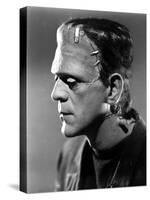 Bride of Frankenstein, Boris Karloff, 1935-null-Stretched Canvas