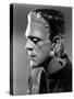 Bride of Frankenstein, Boris Karloff, 1935-null-Stretched Canvas