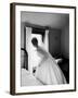 Bride Prepares For Wedding, in Traditional White Gown, 19th Century Wedding Dress-Michael Rougier-Framed Photographic Print