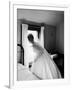 Bride Prepares For Wedding, in Traditional White Gown, 19th Century Wedding Dress-Michael Rougier-Framed Photographic Print