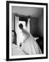 Bride Prepares For Wedding, in Traditional White Gown, 19th Century Wedding Dress-Michael Rougier-Framed Photographic Print