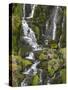 Bride's Veil Waterfall, Isle of Skye, Scotland-David Wall-Stretched Canvas