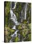 Bride's Veil Waterfall, Isle of Skye, Scotland-David Wall-Stretched Canvas