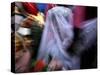 Bride Sits Next to Groom During a Mass Marriage Ceremony for About 50 Couples in Amritsar, India-null-Stretched Canvas