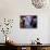 Bride Sits Next to Groom During a Mass Marriage Ceremony for About 50 Couples in Amritsar, India-null-Stretched Canvas displayed on a wall