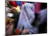 Bride Sits Next to Groom During a Mass Marriage Ceremony for About 50 Couples in Amritsar, India-null-Mounted Photographic Print