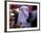 Bride Sits Next to Groom During a Mass Marriage Ceremony for About 50 Couples in Amritsar, India-null-Framed Photographic Print