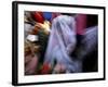 Bride Sits Next to Groom During a Mass Marriage Ceremony for About 50 Couples in Amritsar, India-null-Framed Photographic Print