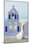 Bride Walking Past Church, Santorini, Kyclades, South Aegean, Greece, Europe-Christian Heeb-Mounted Photographic Print