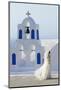 Bride Walking Past Church, Santorini, Kyclades, South Aegean, Greece, Europe-Christian Heeb-Mounted Photographic Print