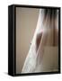 Bride with Veil-Tanya Zouev-Framed Stretched Canvas