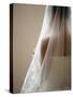 Bride with Veil-Tanya Zouev-Stretched Canvas