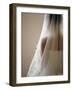 Bride with Veil-Tanya Zouev-Framed Photographic Print