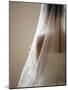 Bride with Veil-Tanya Zouev-Mounted Photographic Print