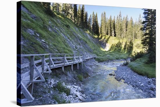 Bridge About River, Wood-Jurgen Ulmer-Stretched Canvas