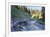 Bridge About River, Wood-Jurgen Ulmer-Framed Photographic Print