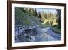 Bridge About River, Wood-Jurgen Ulmer-Framed Photographic Print