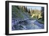 Bridge About River, Wood-Jurgen Ulmer-Framed Photographic Print