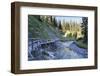 Bridge About River, Wood-Jurgen Ulmer-Framed Photographic Print