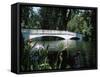 Bridge across a Swamp, Magnolia Plantation and Gardens, Charleston County, South Carolina-null-Framed Stretched Canvas