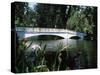 Bridge across a Swamp, Magnolia Plantation and Gardens, Charleston County, South Carolina-null-Stretched Canvas