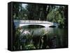 Bridge across a Swamp, Magnolia Plantation and Gardens, Charleston County, South Carolina-null-Framed Stretched Canvas