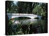 Bridge across a Swamp, Magnolia Plantation and Gardens, Charleston County, South Carolina-null-Stretched Canvas