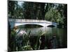 Bridge across a Swamp, Magnolia Plantation and Gardens, Charleston County, South Carolina-null-Mounted Photographic Print