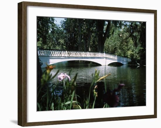 Bridge across a Swamp, Magnolia Plantation and Gardens, Charleston County, South Carolina-null-Framed Photographic Print