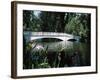 Bridge across a Swamp, Magnolia Plantation and Gardens, Charleston County, South Carolina-null-Framed Photographic Print