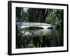 Bridge across a Swamp, Magnolia Plantation and Gardens, Charleston County, South Carolina-null-Framed Photographic Print