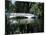 Bridge across a Swamp, Magnolia Plantation and Gardens, Charleston County, South Carolina-null-Mounted Photographic Print