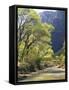 Bridge across River with Mountains in Background, Virgin River, Zion National Park, Utah, USA-Scott T. Smith-Framed Stretched Canvas