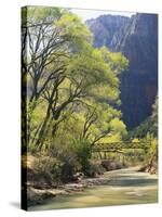 Bridge across River with Mountains in Background, Virgin River, Zion National Park, Utah, USA-Scott T. Smith-Stretched Canvas