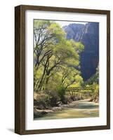 Bridge across River with Mountains in Background, Virgin River, Zion National Park, Utah, USA-Scott T. Smith-Framed Photographic Print
